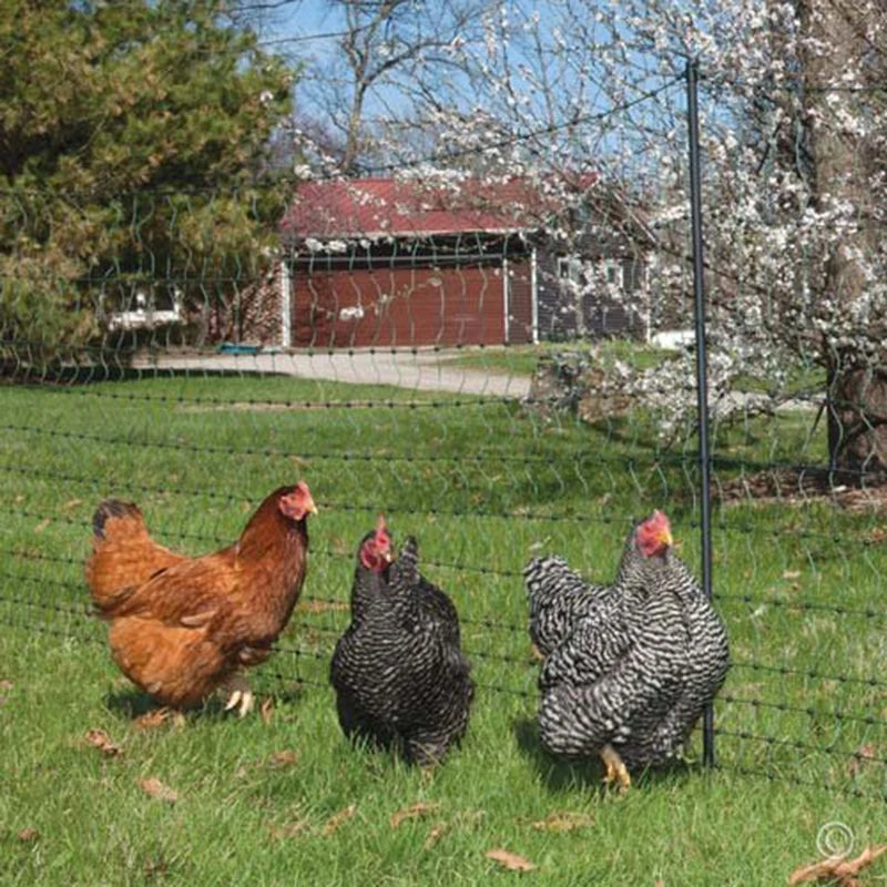Garden Guardian Heavy-Duty Netting™