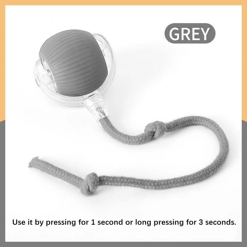 Interactive Pet Play Ball™