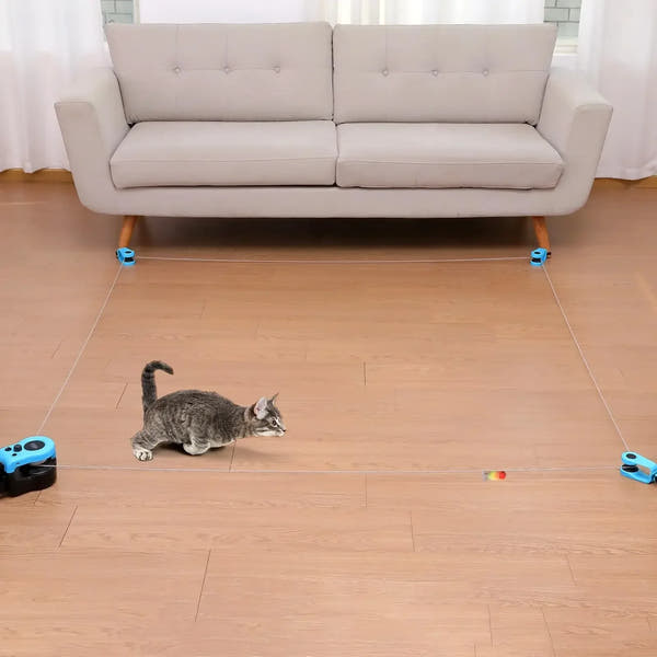 Interactive Cat Treadmill Play Wheel™