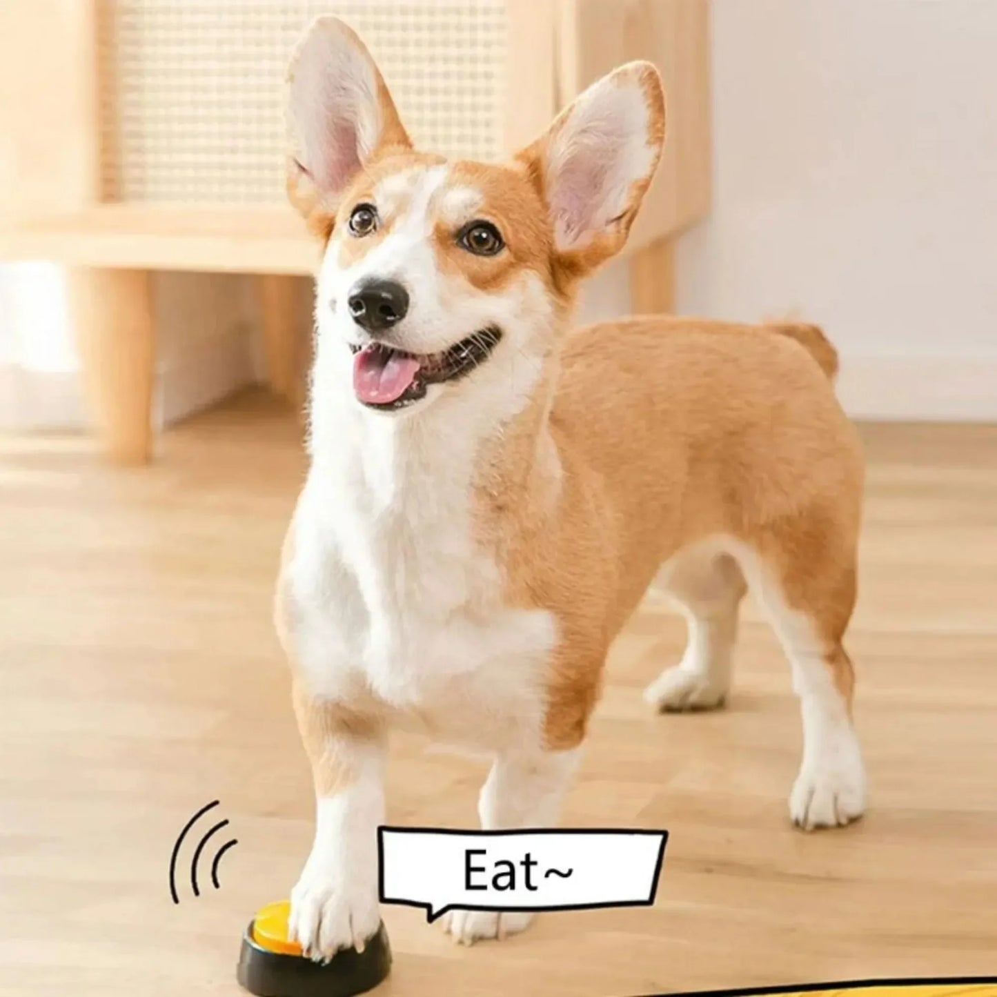 DogTalk™ Communication Buttons