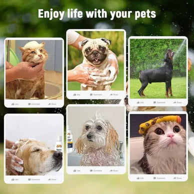 Transform Bath Time into Bonding Bliss!