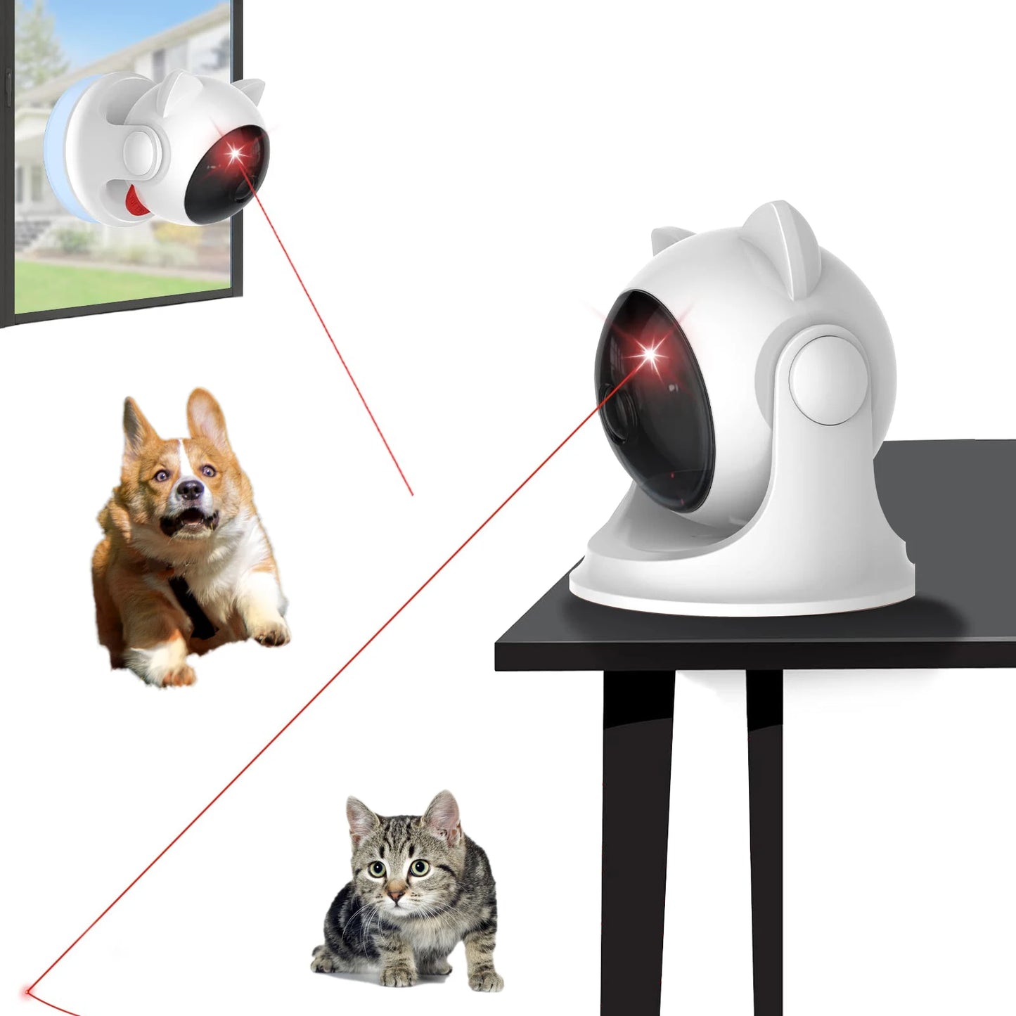 Interactive Laser Chase Toy™