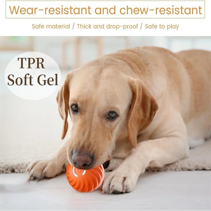 Interactive Pet Play Ball™