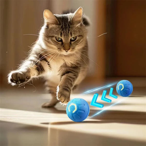Interactive Pet Play Ball™