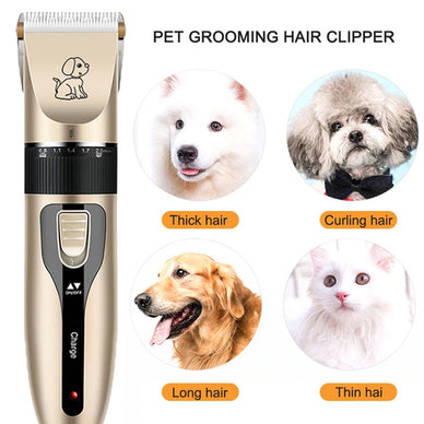Transform Grooming Into a Joyful Bonding Experience