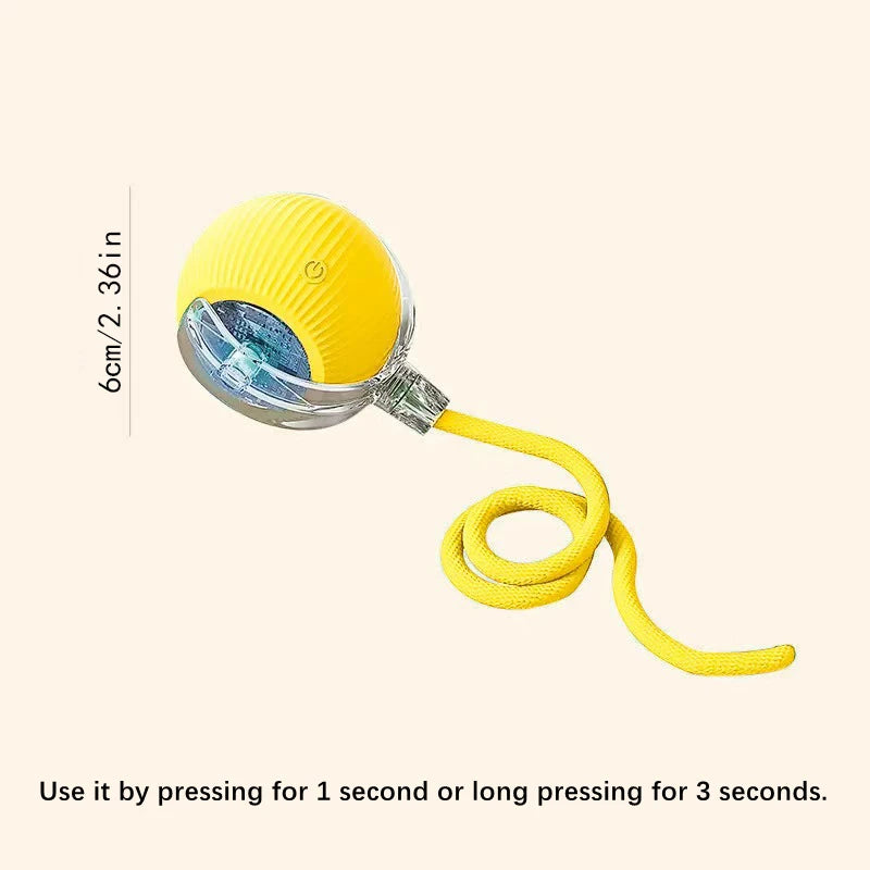 Interactive Pet Play Ball™