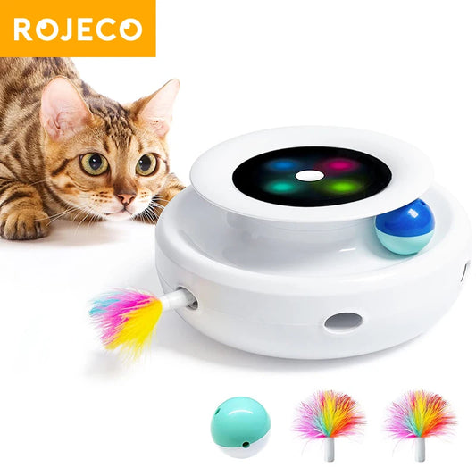 Interactive Pet Playtime Adventure™