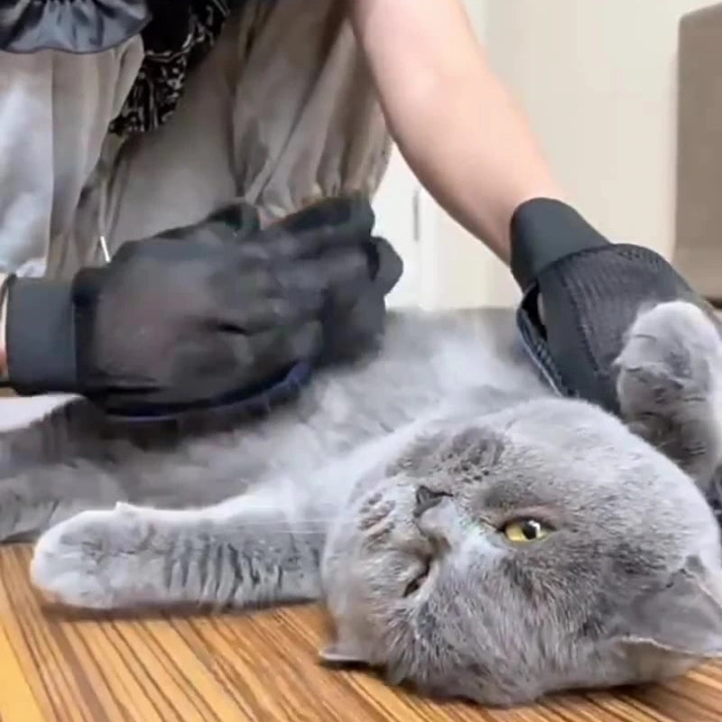 Gentle Grooming & Bathing GlovesTM