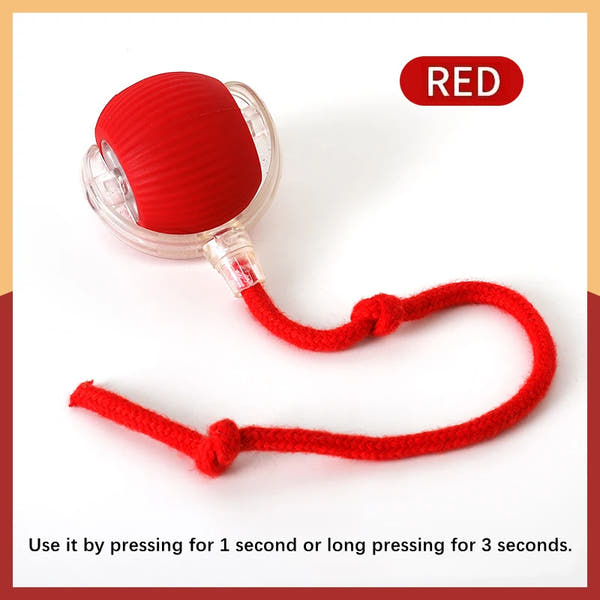 Interactive Pet Play Ball™