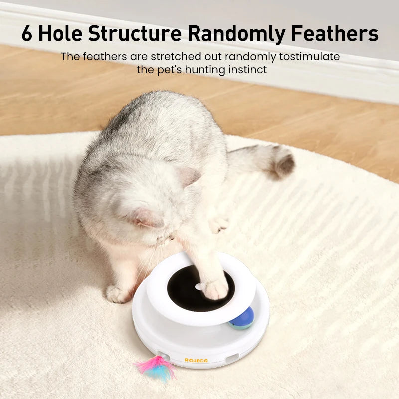 Interactive Pet Playtime Adventure™