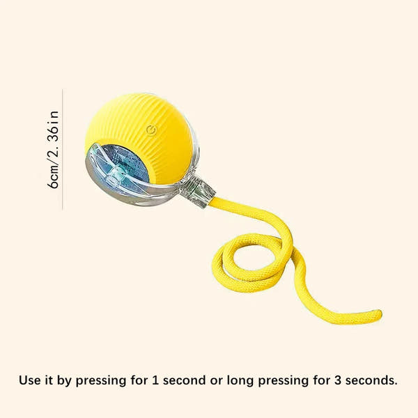 Interactive Pet Play Ball™