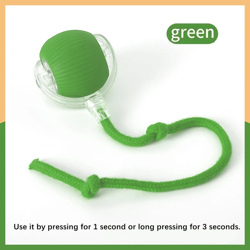 Interactive Pet Play Ball™