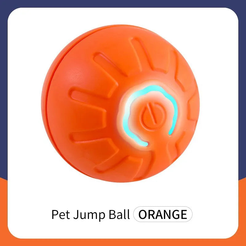 Interactive Pet Play Ball™