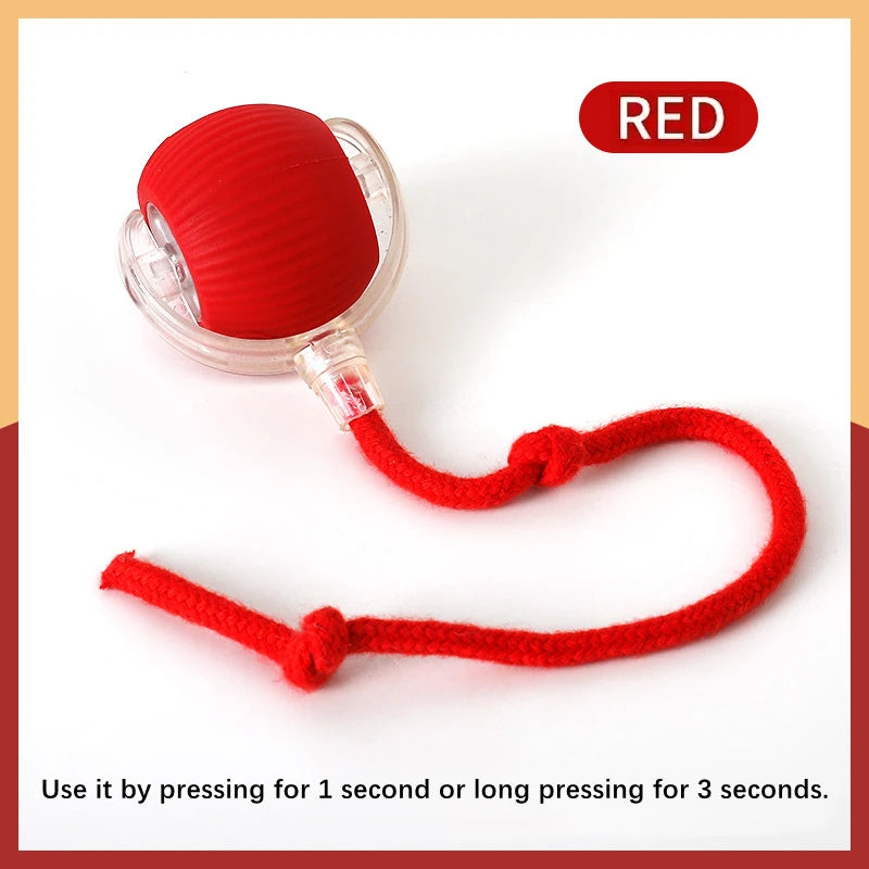 Interactive Pet Play Ball™
