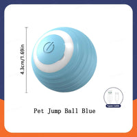 Interactive Pet Play Ball™