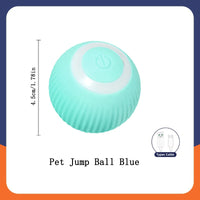 Interactive Pet Play Ball™